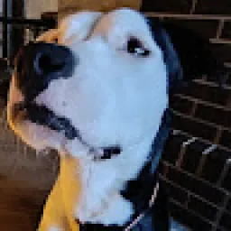 Profile picture for user matějsladký