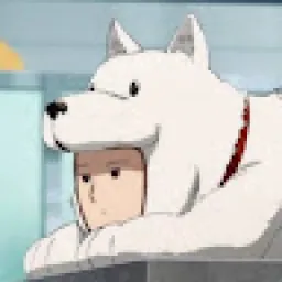 Profile picture for user samuelgabris