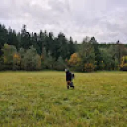 Profile picture for user edojandik