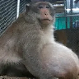 Profile picture for user lodim