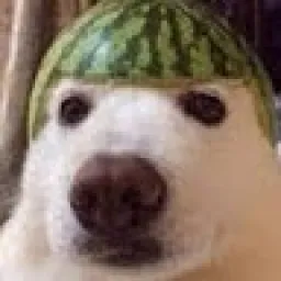 Profile picture for user TSNAlekyEu