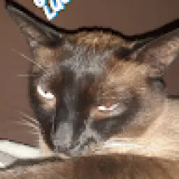 Profile picture for user crashizan