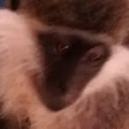 Profile picture for user PatyCZ