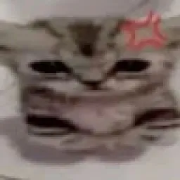 Profile picture for user petrikk1