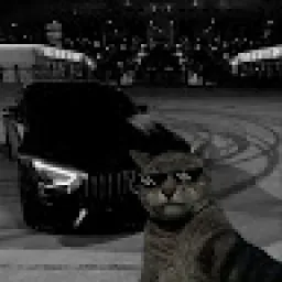 Profile picture for user Straxik