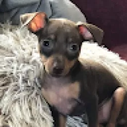 Profile picture for user forker_cz