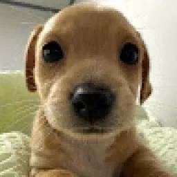 Profile picture for user tisju