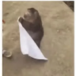 Profile picture for user misledermine38