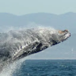 Profile picture for user matějbrabec