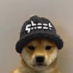 Profile picture for user snexyy