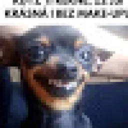 Profile picture for user samik55cz