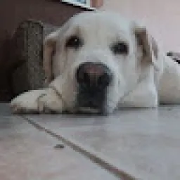 Profile picture for user MichalBacik