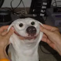 Profile picture for user lucian2705