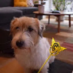 Profile picture for user Fanda44