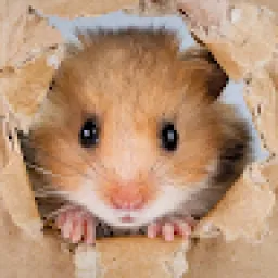 Profile picture for user baxikkat
