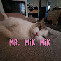 Profile picture for user matyasslapal