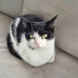 Profile picture for user Jardyys.