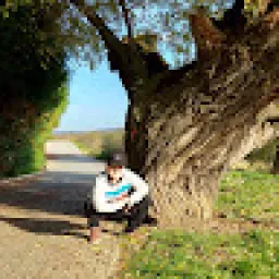 Profile picture for user jaroslavlippmann