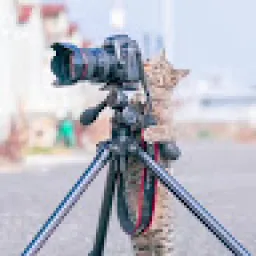 Profile picture for user itzz.burrito