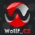 Profile picture for user INAE.WollfCZ