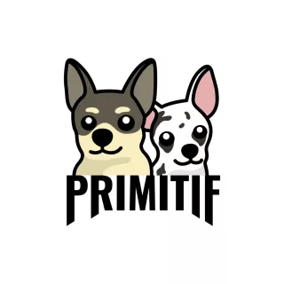 Profile picture for user PRIMITIF29