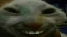 Profile picture for user f3ar97