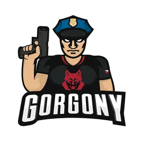 Profile picture for user gorgony