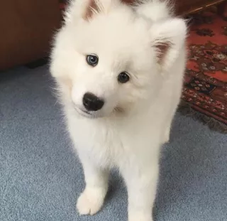 Profile picture for user ems0038