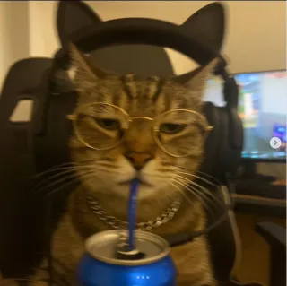 Profile picture for user Thonder1