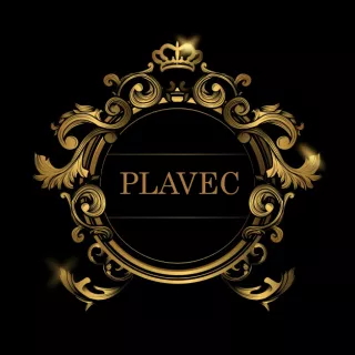 Profile picture for user Plavec011