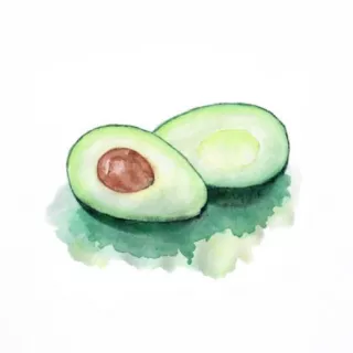 Profile picture for user Λvocado