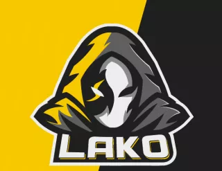 Profile picture for user Lako23
