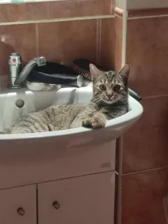 Profile picture for user WexTrix_