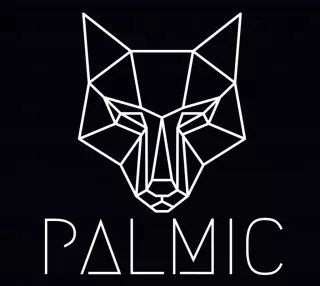 Profile picture for user _palmic_