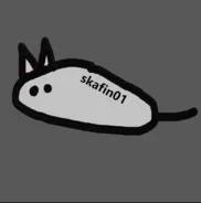 Profile picture for user skafin01