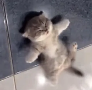 Profile picture for user simoneek