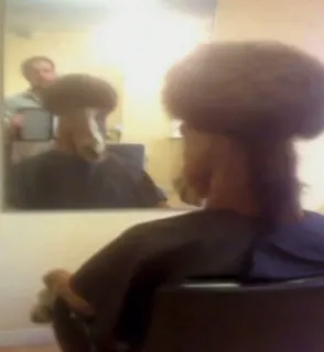 Profile picture for user ToXeb