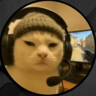 Profile picture for user P_E_T_R