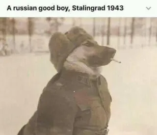 Profile picture for user waaKy