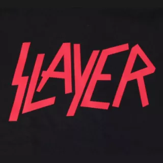 Profile picture for user slayer